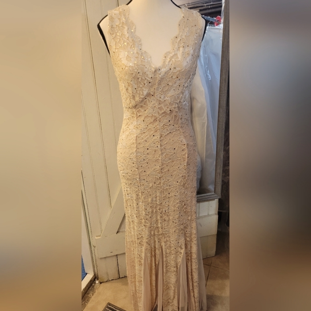 Elegant Lace Cream Dress